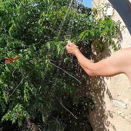 Bergerie Des Reves Puéchabon