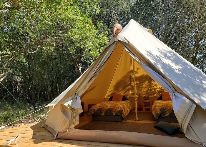 Tatil Evi Bergerie Des Reves Ecogite De Groupe
