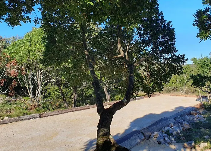 Tatil Evi Bergerie Des Reves Ecogite De Groupe